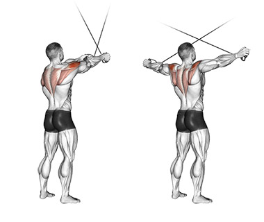 reverse fly cable shoulder exercises