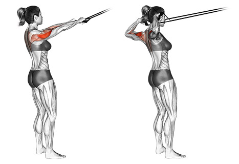 Face pull cable shoulder exercises