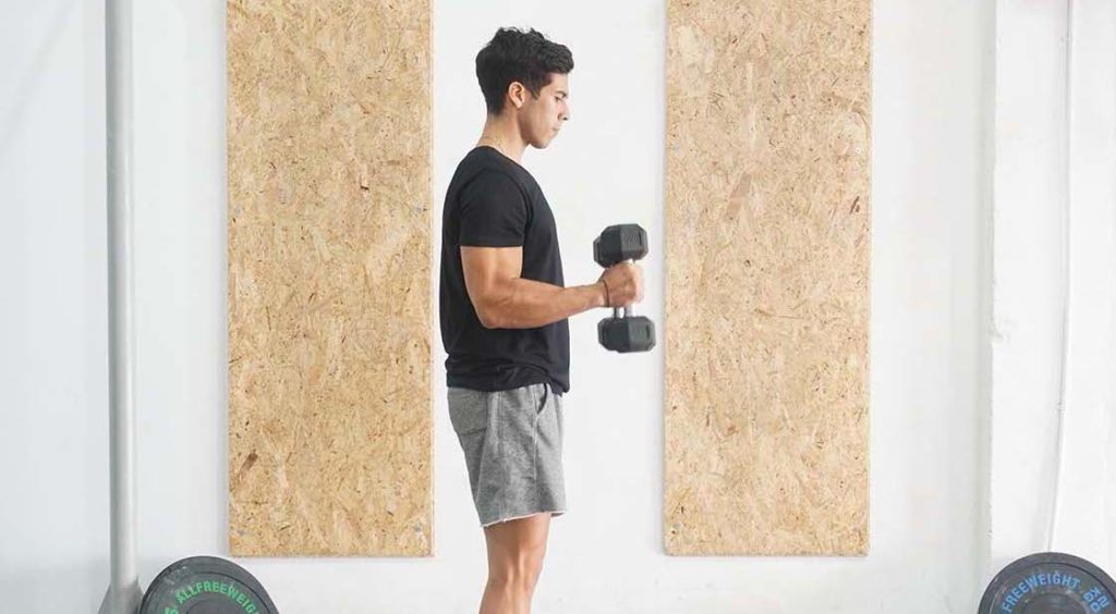 man hammer curl dumbbell long head bicep exercises
