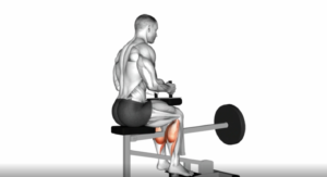 man seated calf raise animation