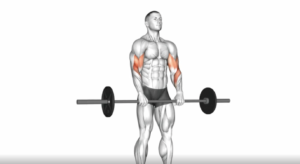 man reverse curl barbell