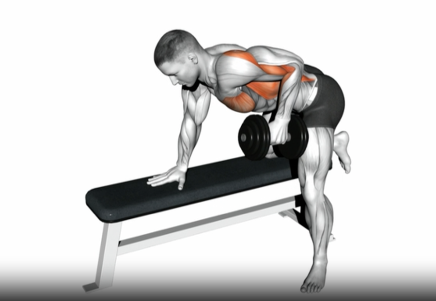 man dead-stop dumbbell row dumbbell lat exercises