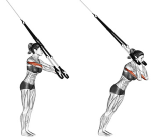 Women TRX tricep Suspension